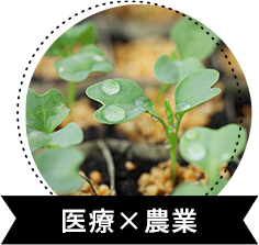 医療×農業