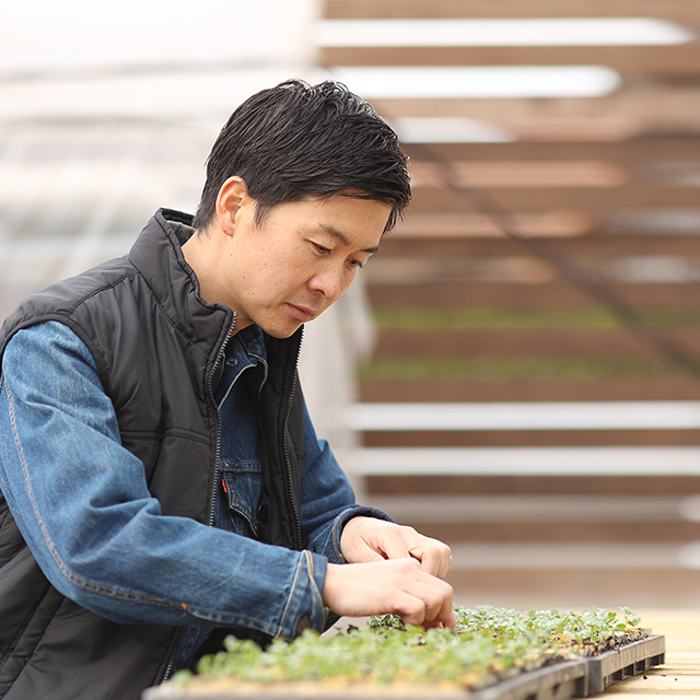 SOL FARM（ソルファーム）